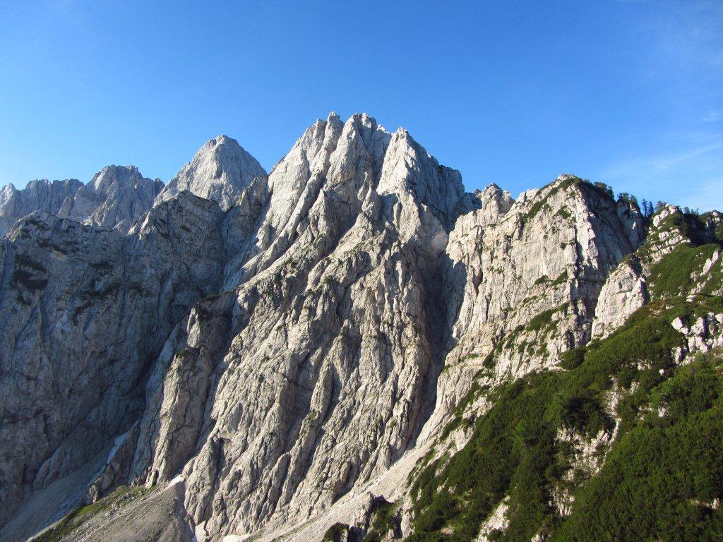 IMG 7451