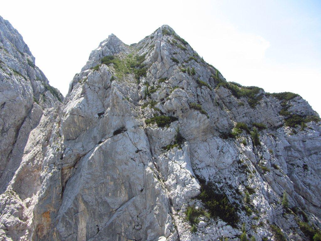 IMG 7468