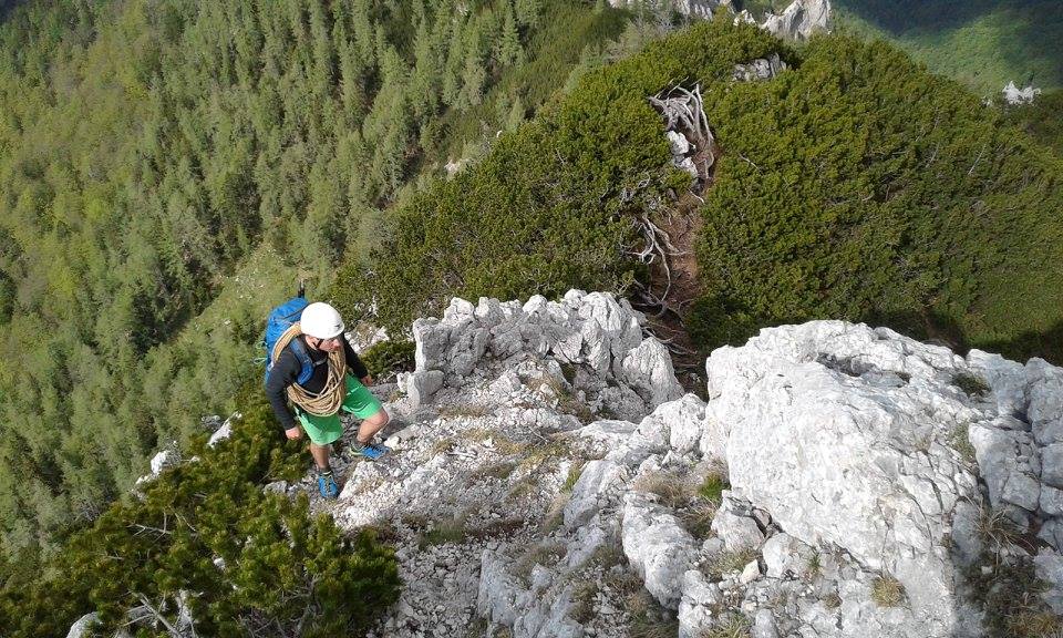 Pristop na Staničev vrh Zeleniske 1
