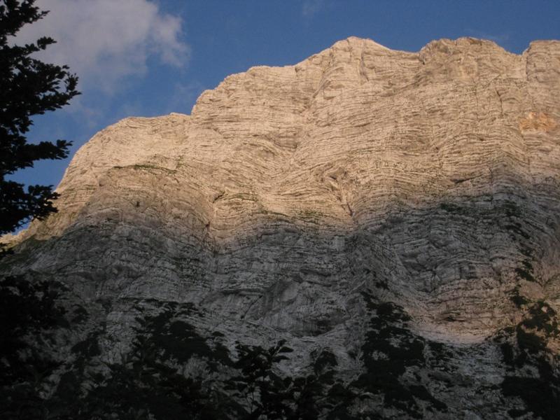 Ostenje Oblice v poznopoldanskem soncu oblica_oblica