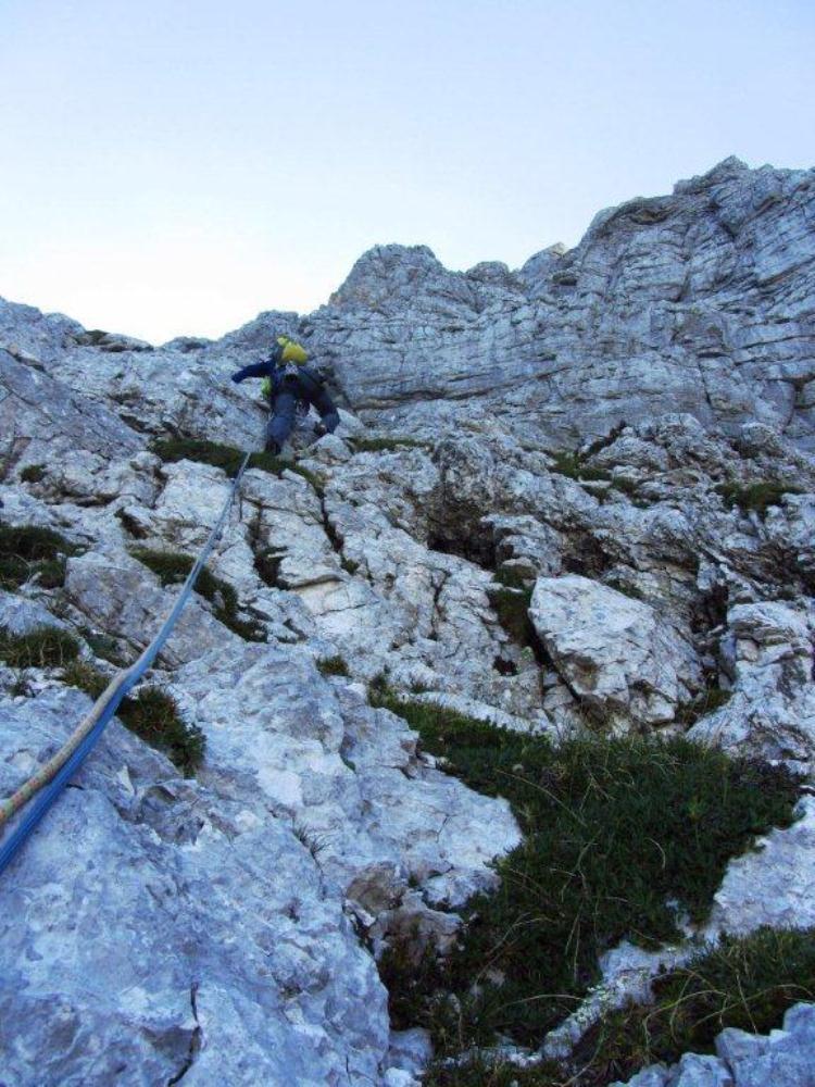 V lažjem svetu, ki pelje pod vršni, strmejši del stene. Rota virus 004