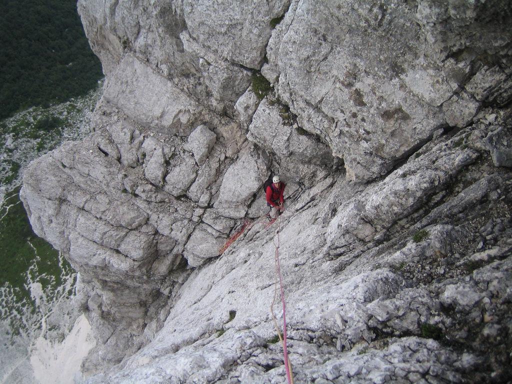 Domen na štantu IMG_7349