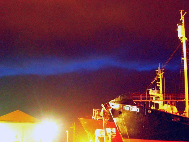Aurora Borealis - severni sij - Northern Lights v Reykjaviku.