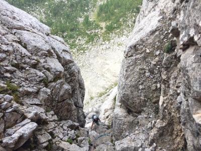 Mokre sanje v zajedi