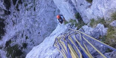 Poletja ni v školjki