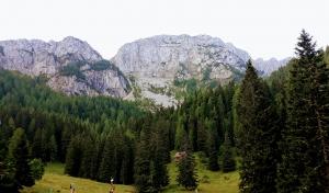 6. ŽAOŽ