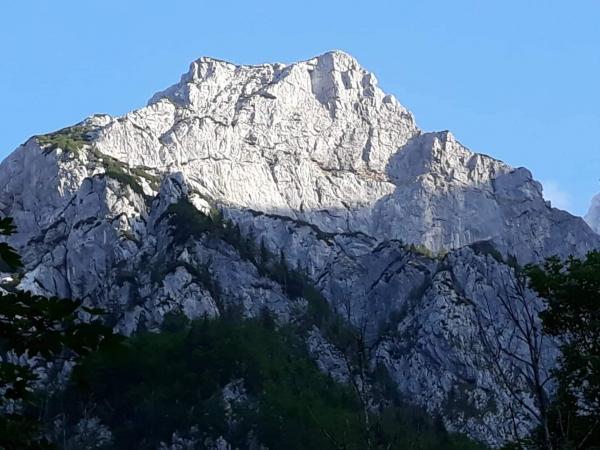 Moja prva