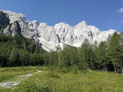 Igličeva v Mali Rinki