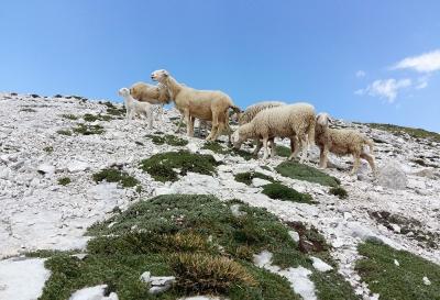 Spominska Srečku Rihterju