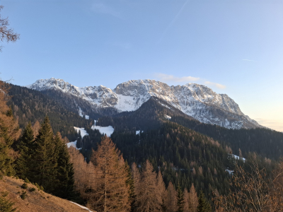 Zimski marčevski tris