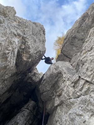 Avrikelj raste na Gamsovih platah