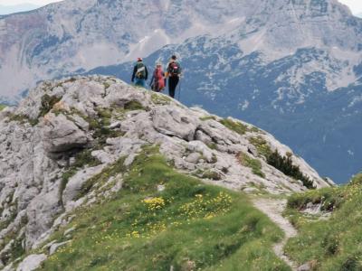 Svinganje v NŠG (Vidova, Violinca) in Planjavi (Humar - Škarja, Sonček, Sivo upanje)