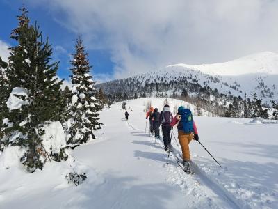 Samo nemojte mi žurit